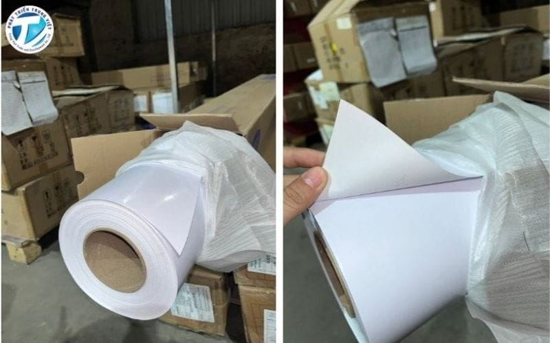 Mua decal dán xe máy chất lượng tại Phát Triển Trung Việt